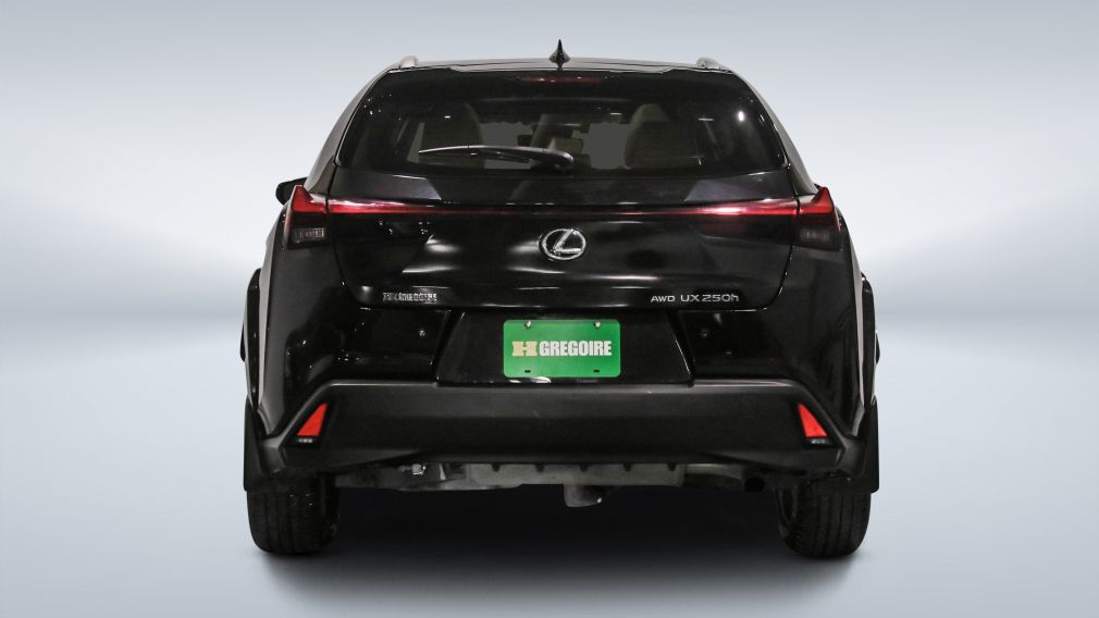 2023 Lexus UX — photo 6