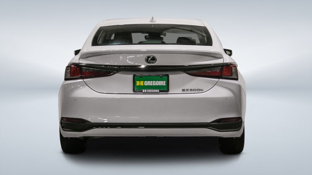 2024 Lexus ES300H — photo 6