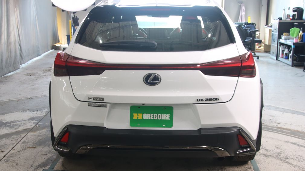 2020 Lexus UX — photo 5