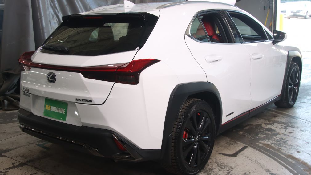 2020 Lexus UX — photo 6