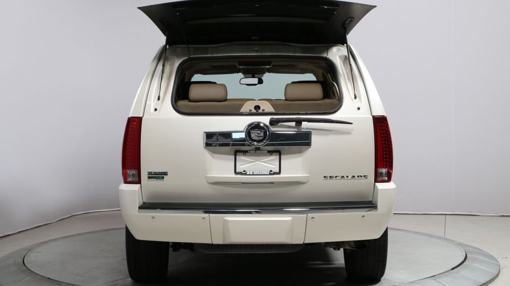 2010 Cadillac Escalade Premium #35