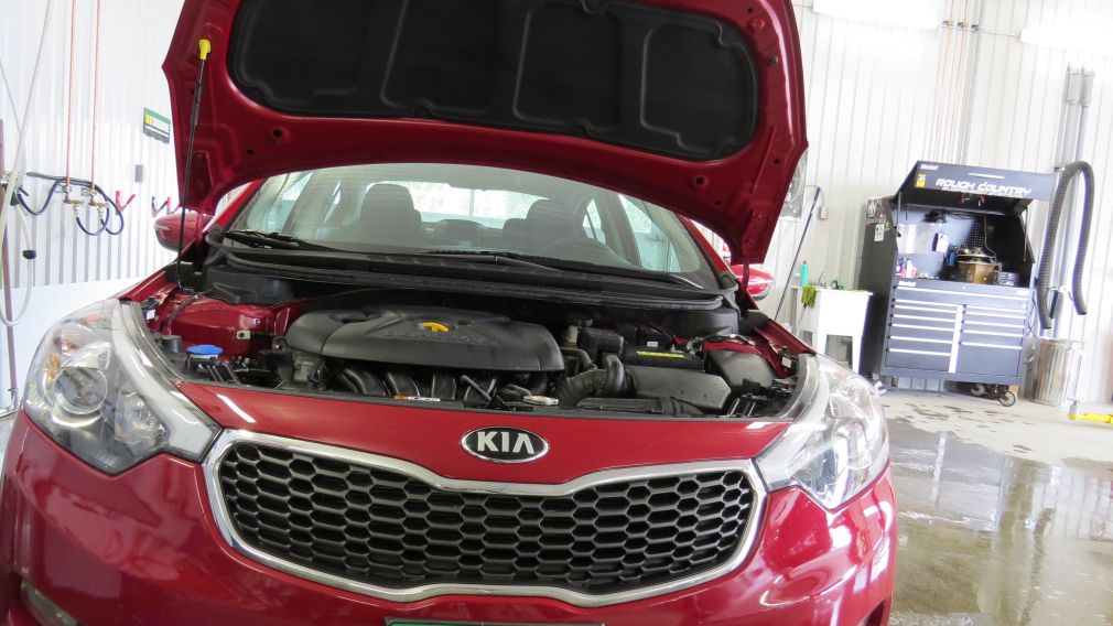 2015 Kia Forte LX+ #8