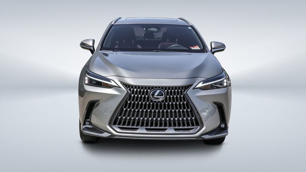 2024 Lexus NX — photo 2