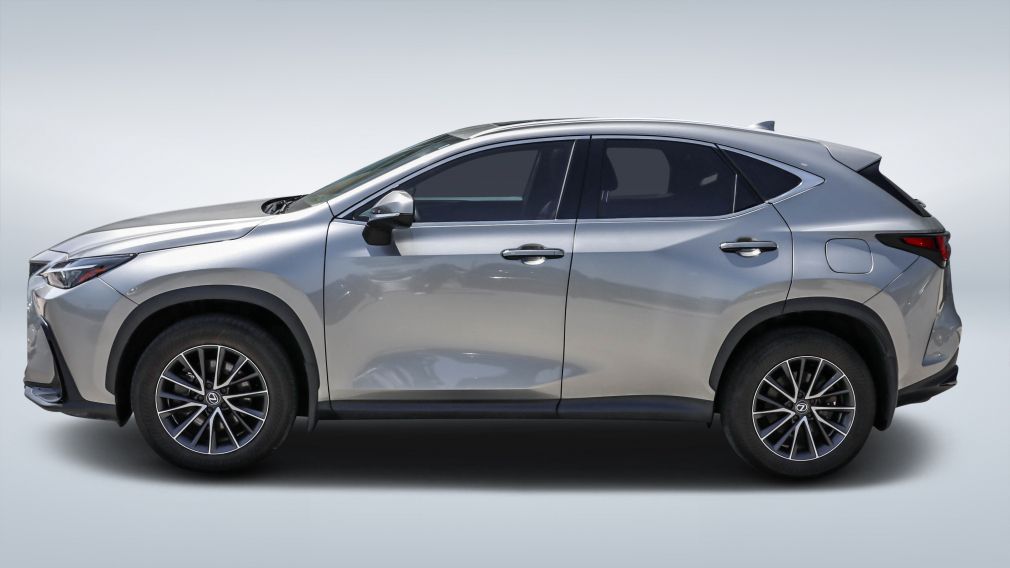 2024 Lexus NX — photo 4