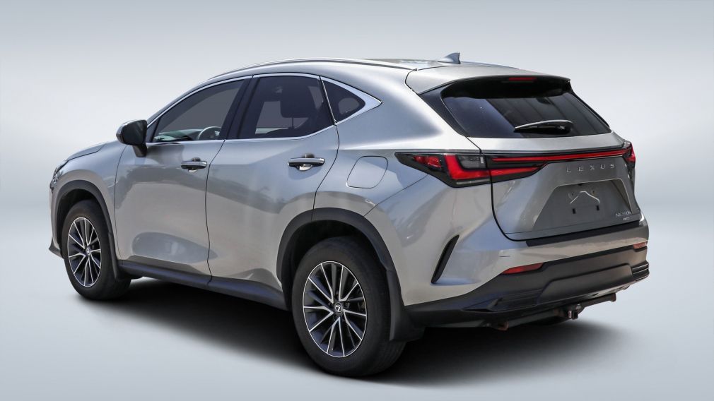 2024 Lexus NX — photo 5