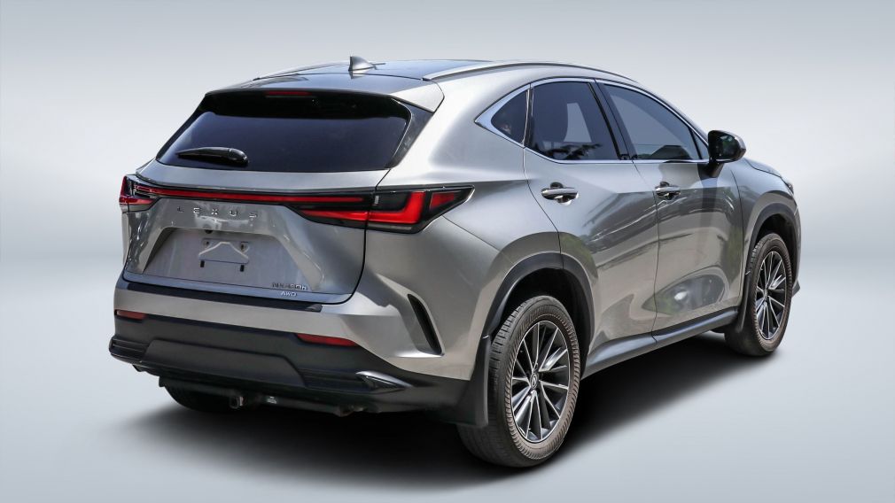 2024 Lexus NX — photo 7