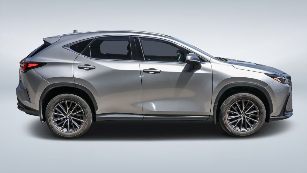 2024 Lexus NX — photo 8