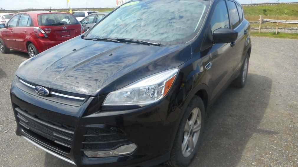 2014 Ford Escape SE #4