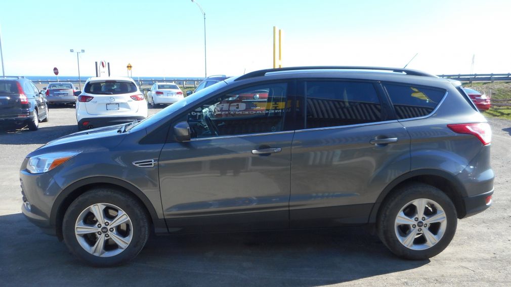 2014 Ford Escape SE #4