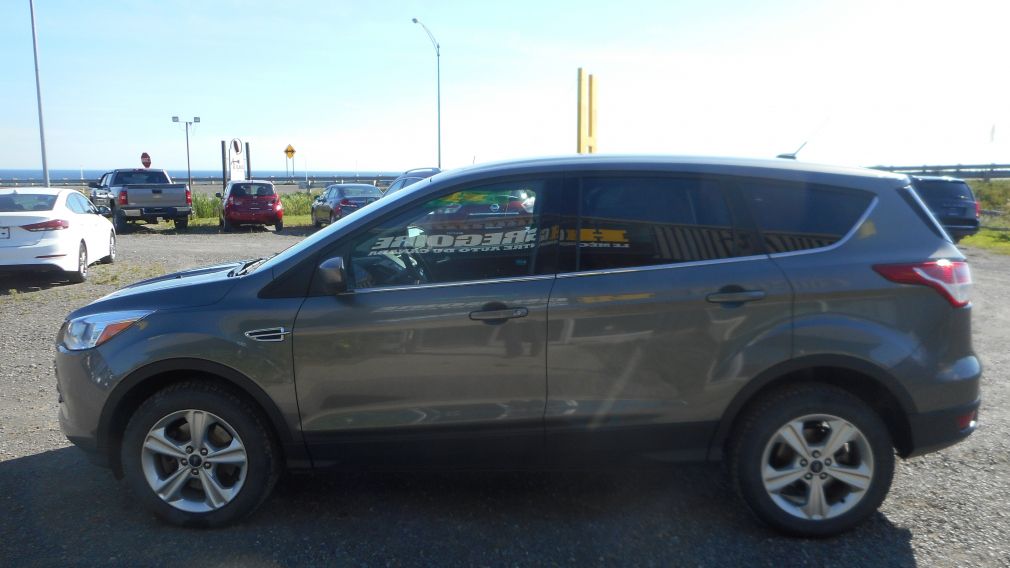 2014 Ford Escape SE #3