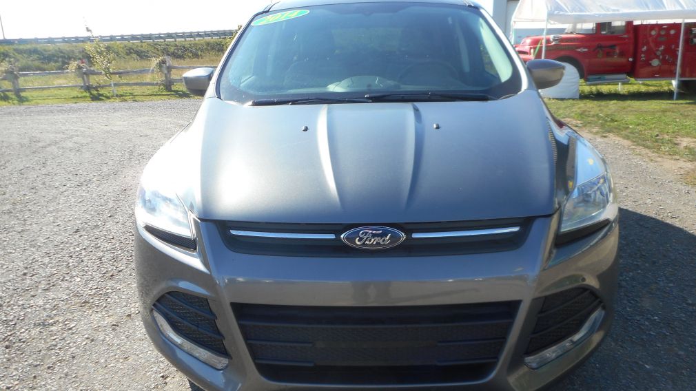 2014 Ford Escape SE #1