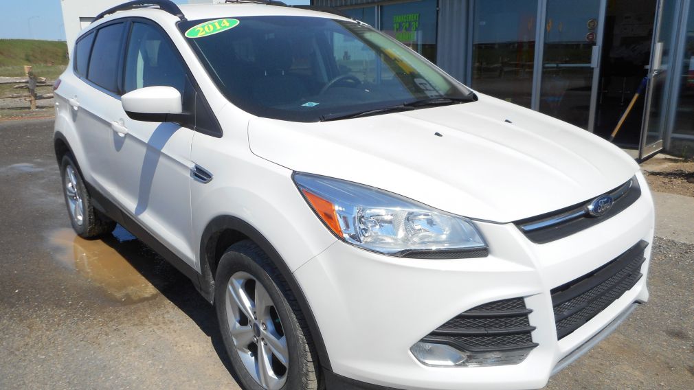 2014 Ford Escape SE #2