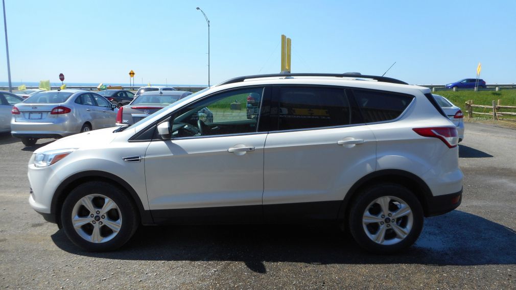 2014 Ford Escape SE #5